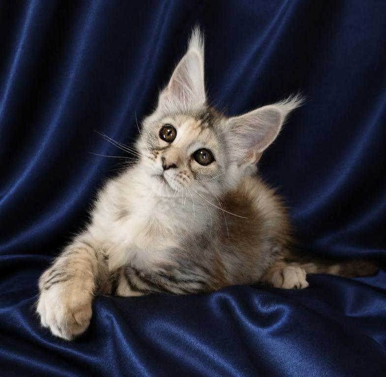 Vlada photo 1