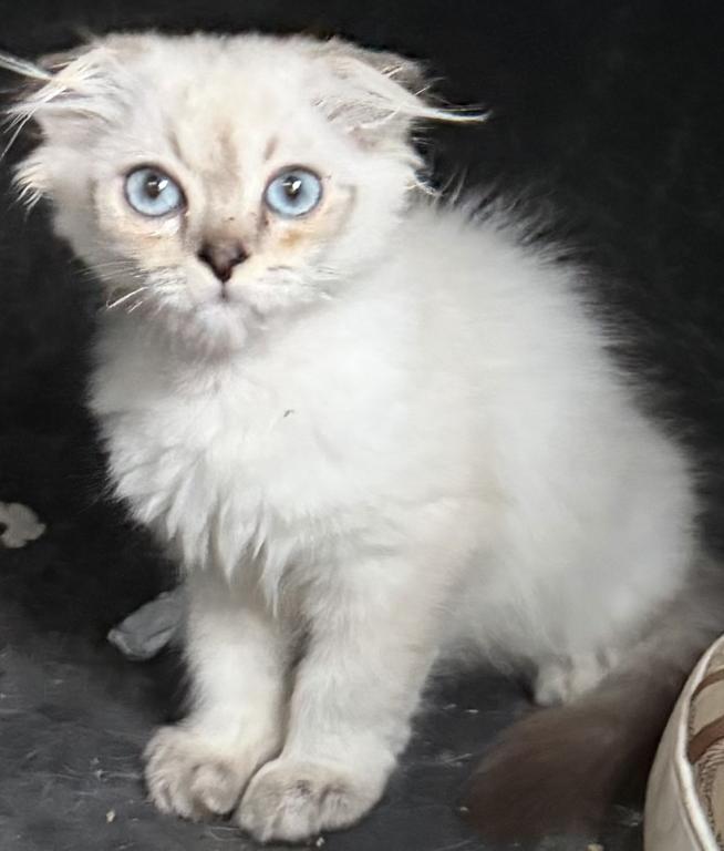 Sky The Pretty Girl photo 13
