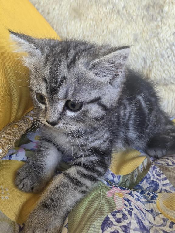 No Name