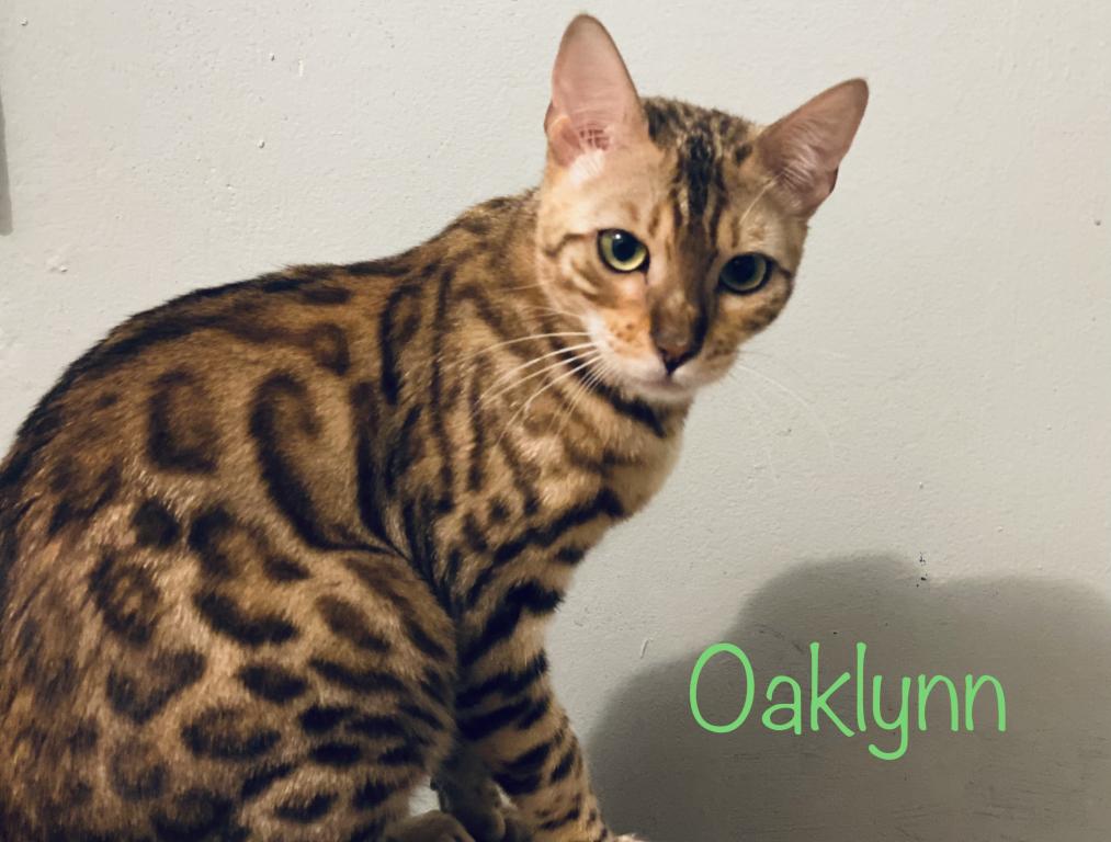 Lora & Oaklynn photo 2