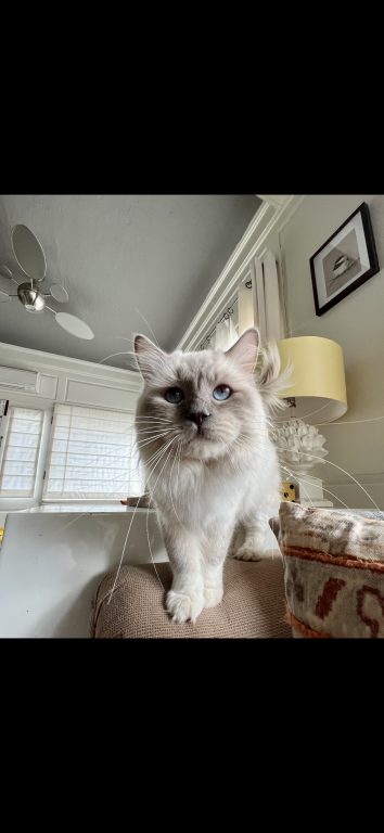 Charlie photo 4
