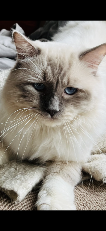 Charlie photo 6