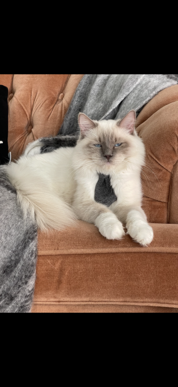 Charlie photo 2