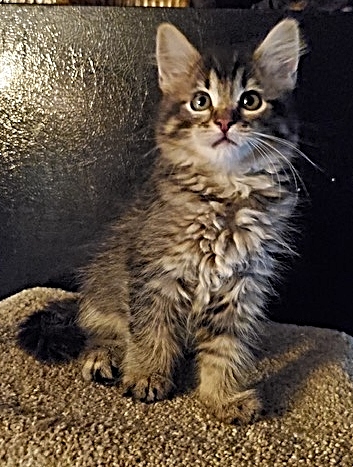 Kiki photo 2