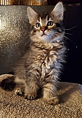 Kiki photo 3