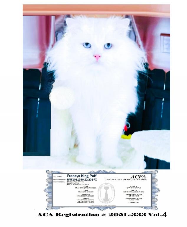 White Pagamuffins Of Jasmine & King Puff photo 3